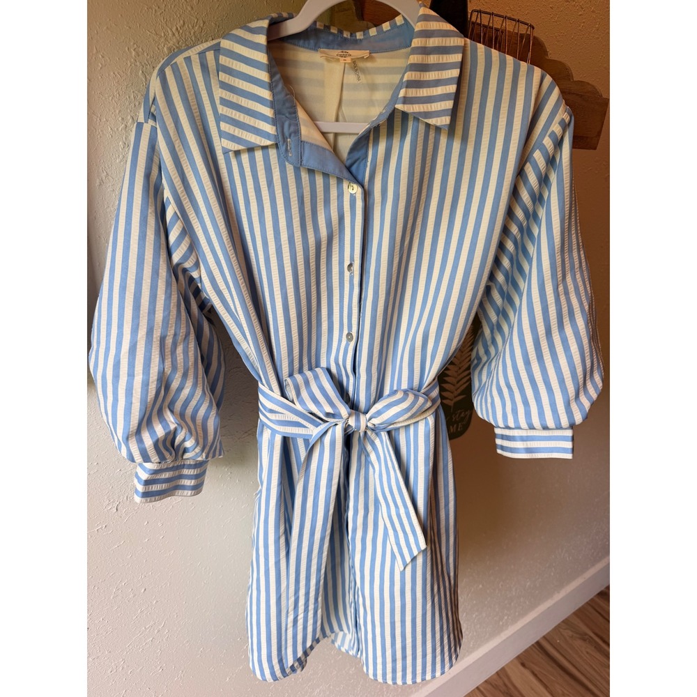 Entro Striped Dress with Balloon Sleeves